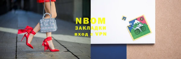 твердый Дмитровск