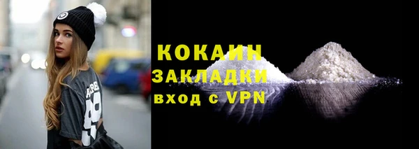 твердый Дмитровск