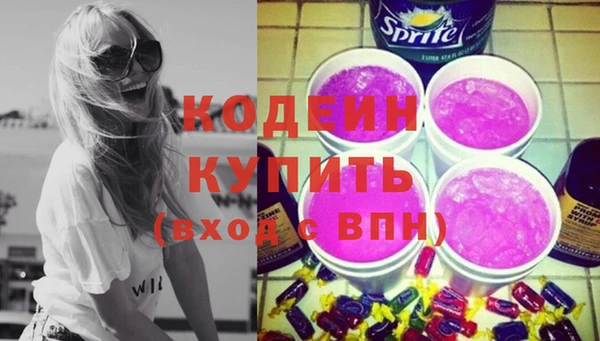 твердый Дмитровск