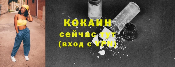 таблы Ельня