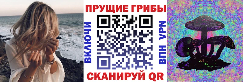 Псилоцибиновые грибы Psilocybine cubensis Канск